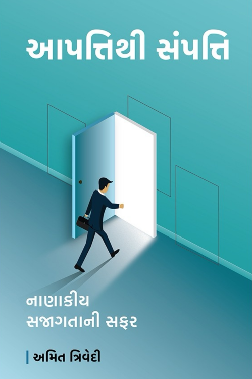 આપત્તિથી સંપત્તિ, નાણાકીય સજાગતાની સફર